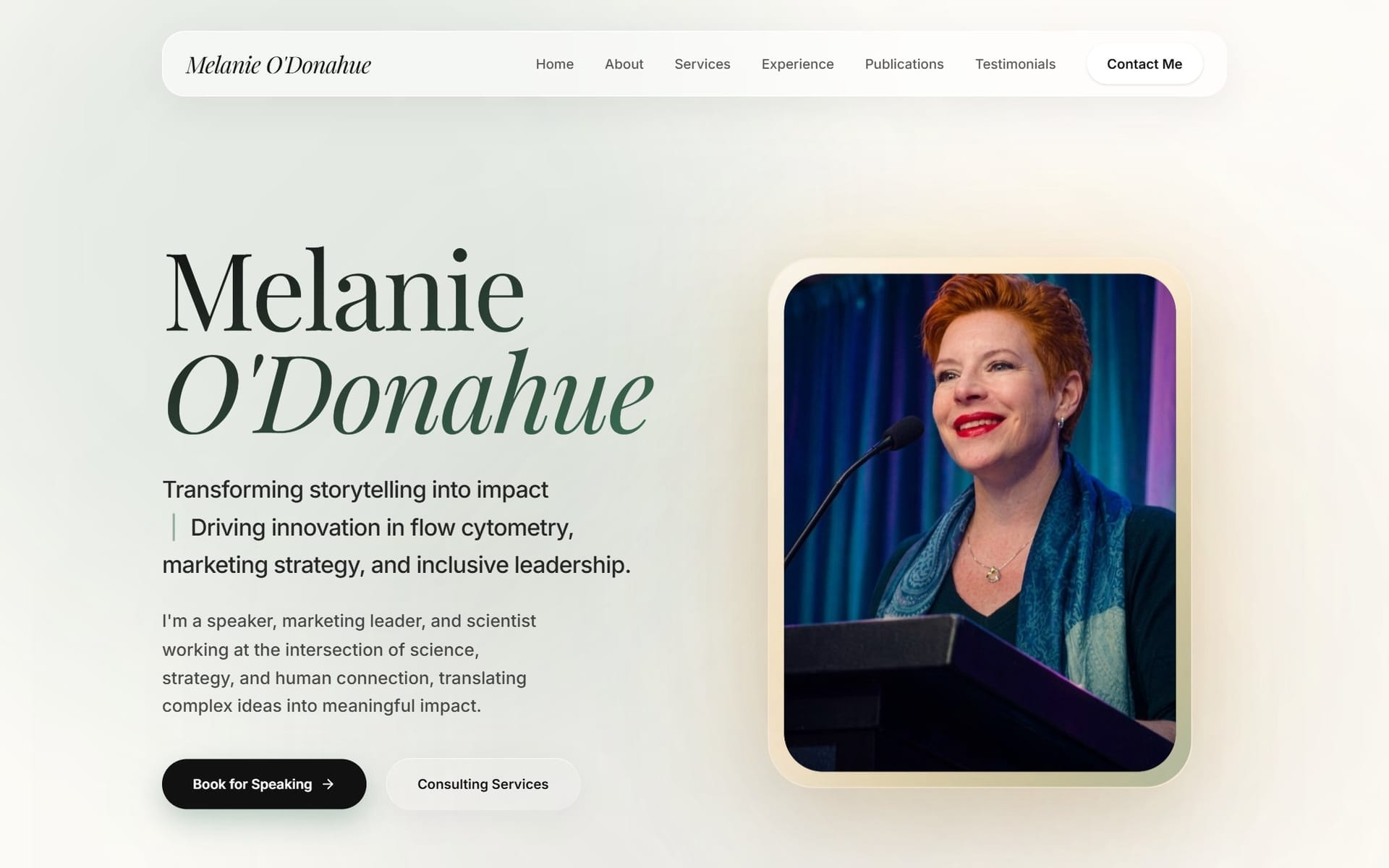 Example speaker & consultant website we built for a client